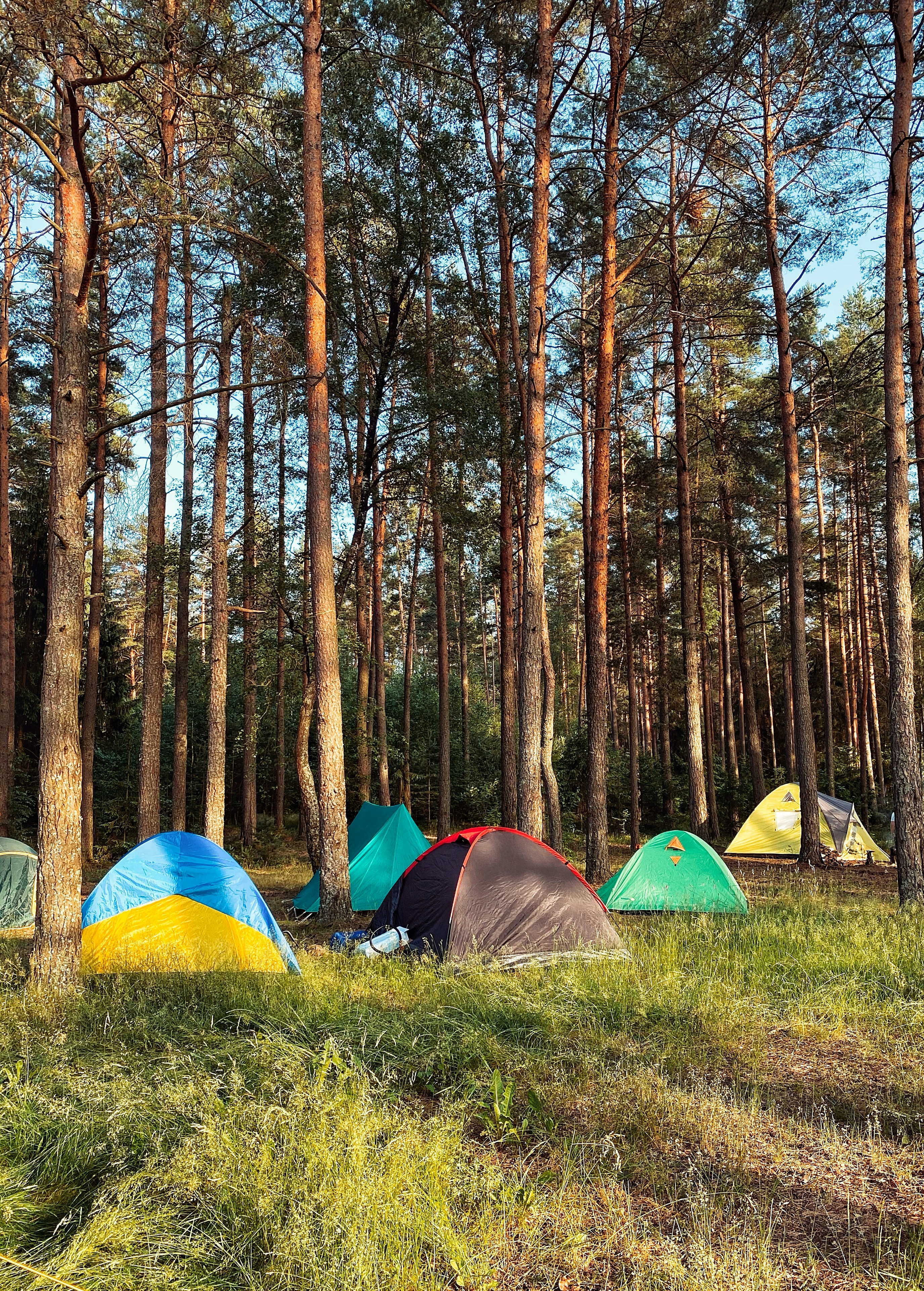 camping-tent-in-forest-iran.jpg